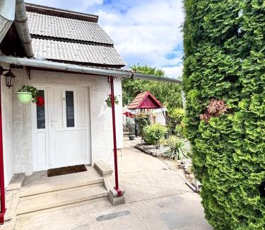 Baia Mare House | House Bumba