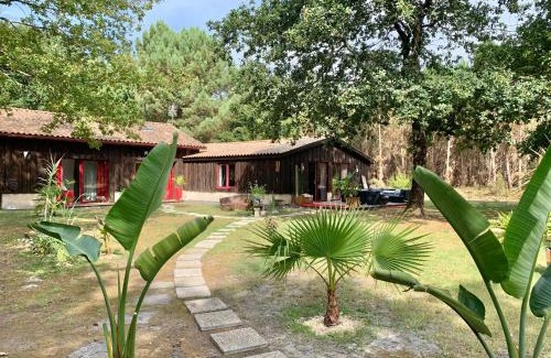 Hourtin House | House de la Canopée, Swimming pool, Lake, Forest, large garden and WIFI