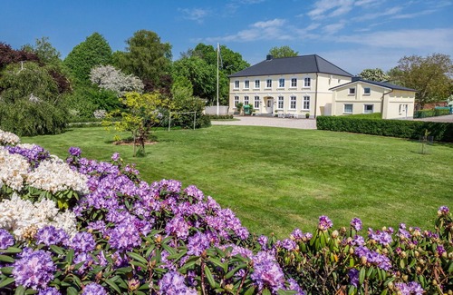 Fehmarn House | House for 4 guests with 75m² in Bisdorf (110761)