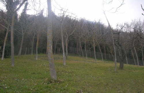 Fano House | HOUSE FOR RENT IN THE COUNTRYSIDE