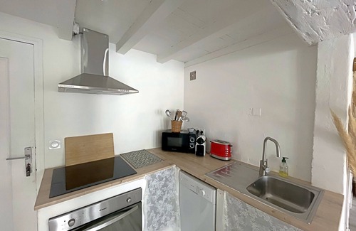 Saintes-Maries-de-la-Mer House | House with pool and parking in Camargue