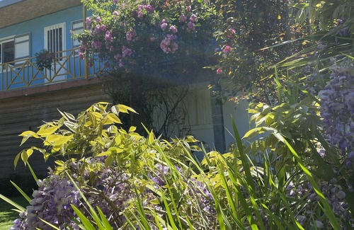 Cilaos House | House ideal for family and close to hiking trails