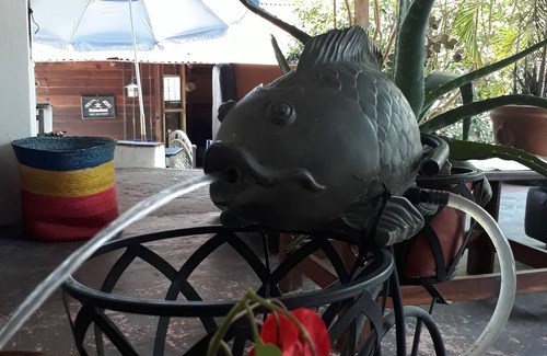 Xalapa Cottage | House in Fog Forest