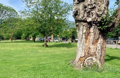 Villafranca in Lunigiana House | House in the medieval village of Filetto