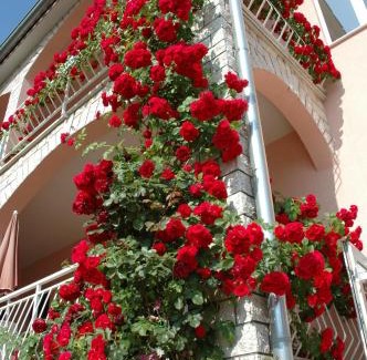 Spadici Apartment | House Marić