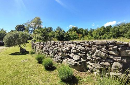 Buzet House | House Mlun