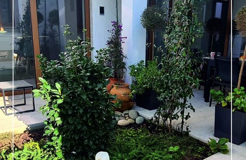 Monserrate Apartment | House of Camellias