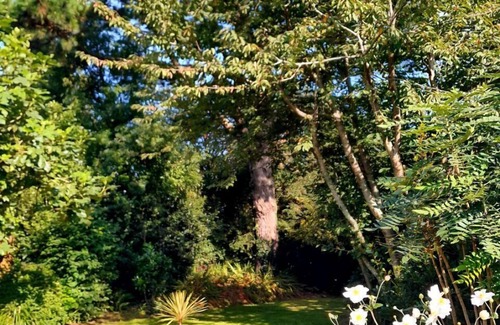 Plougastel-Daoulas House | House on the Plougastel peninsula