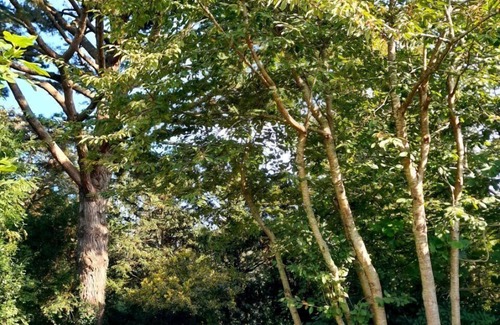 Plougastel-Daoulas House | House on the Plougastel peninsula