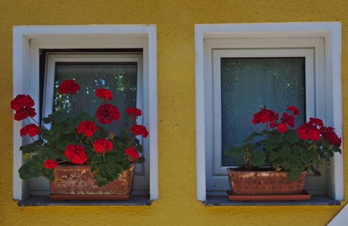 Villmar Apartment | House under the cherry tree, root, 80m from the Lahn