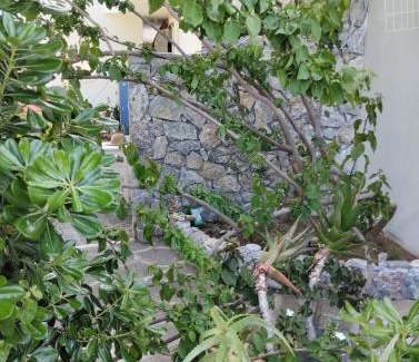 Karpenisi House | House Under the Pines next to the sea