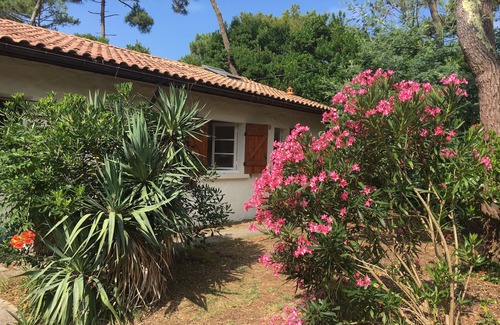 Cap-Ferret House | House/Villa - Cap Ferret