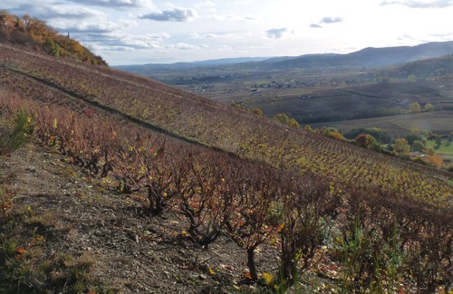 La Gresle House | House / Villa - La Gresle