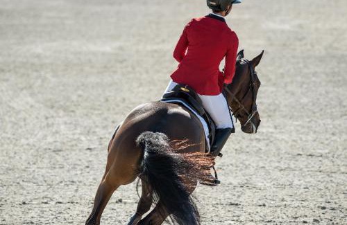 Molinell House | House with garden at Oliva Nova MET & Golf & Padel & Beach resort