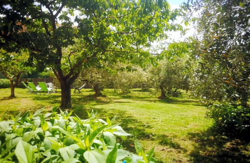 Monteverdi Marittimo Apartment | HOUSE WITH GARDEN ON THE TUSCAN HILLS about 20 minutes from the sea WI-FI FREE