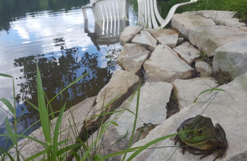 Saint-Calixte House | Huge Lake-Front huge home on warmest lake in Quebec - 45 Minutes from Montreal