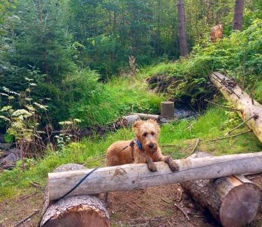 Tanna House | Hundeurlaub im Tiny House im Wald