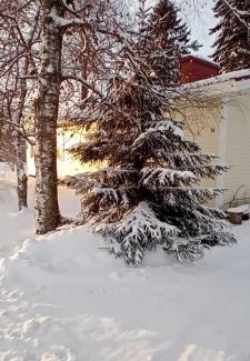 Kalajoki House | Huone Rauhallisessa Mummolassa