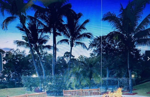 Bonita Springs Apartment | Hyatt Vacation Club At Coconut Cove STUDIO