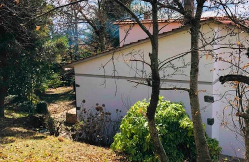 Macchino House | Hydrangeas' house