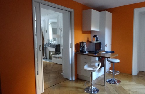 City-Centre - Petite France Apartment | Hyper Centre 4 bourgeois rooms 135 m2 terrace, private parking