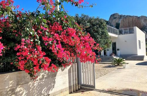 Custonaci House | I due carrubi