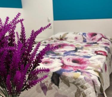 Custonaci House | I FIORI DI LEA