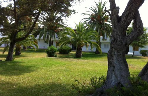 Siesta Apartment | IBIZA - Bungalows Siesta a 50mt dal mare