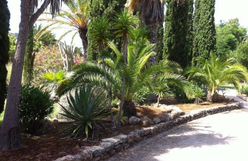 Siesta Apartment | IBIZA - Bungalows Siesta a 50mt dal mare
