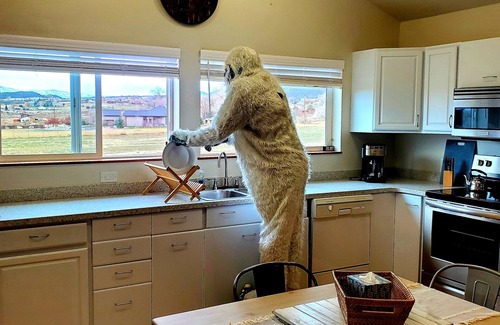 Silt House | IceBerg Farms, even a Yeti can chill here!