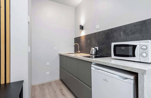 Reykjavik Apartment | Iceland Comfort Apartments Studio 3 Adults