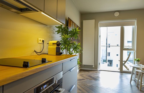 Hliðar Apartment | ICELAND SJF APARTMENTS - 401 Your Downtown Reykjavík Retreat