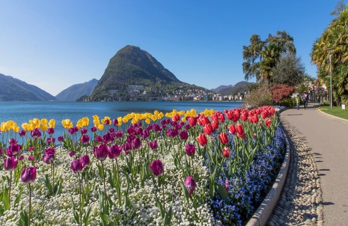 Lugano Apartment | Icon H 401 Suite Business