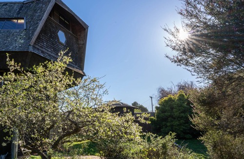 Bolinas House | Iconic Mushroom House. Ocean Views, Walk to Beach and Sauna!