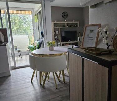 Digne-les-Bains Apartment | Idéal long séjour, Souvenirs de Provence,T2 classé, vue sur les montagnes, toutes commonditées!