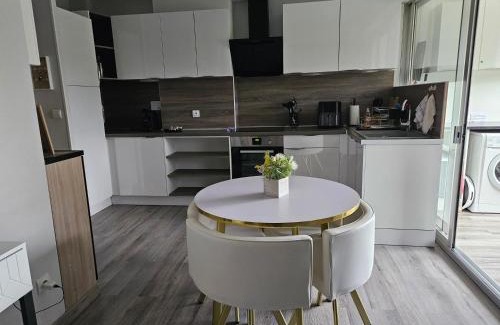 Digne-les-Bains Apartment | Idéal long séjour, Souvenirs de Provence,T2 classé, vue sur les montagnes, toutes commonditées!
