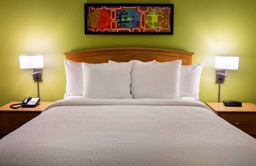 Shea Business Park Hotel | Ideal Home Base for Exploring Scottsdale's Rich Culture & Nature w/Outdoor Pool