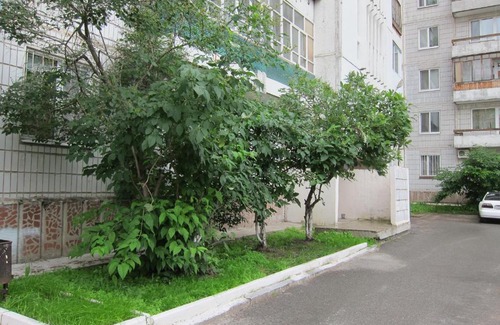 Tomsk Apartment | Idillia