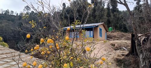 Almora House | Idyllic Haven Heritage, Jageshwar