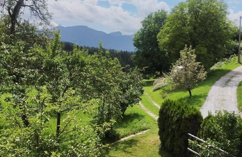 Schiefling am See House | Idyllic panoramic south-facing flat near Lake Wörthersee