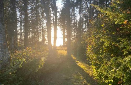 Spøttrup House | Idyllic Summer House At The Water's Edge