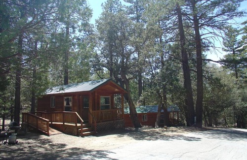 Pine Cove Resort | Idyllwild Camping Resort Wheelchair Accessible Cottage