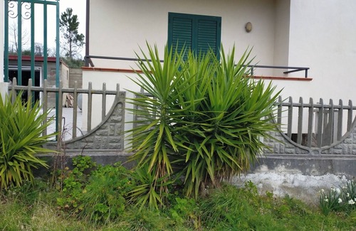 Reggio Calabria House | If you love nature in the hills cottage surrounded by greenery p.t.