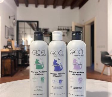 Brescia Antica Bed & Breakfast | Il Cantuccio di Gioia