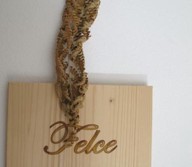 Bedollo Apartment | Il Cardo Trentino