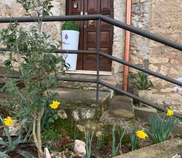 Carpineto Romano House | Il Carpino Historic Luxury Home - dimora con sauna