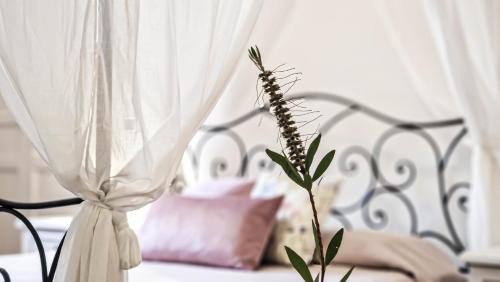 Roccella Jonica House | Il Castello degli Ulivi-Agriturismo in natura