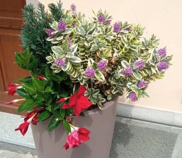 Verduno House | IL CORTILETTO 2 - Verduno