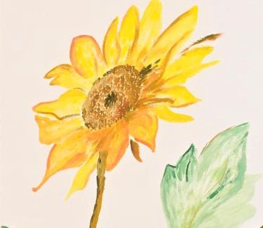 Caprino Veronese Apartment | Il Girasole