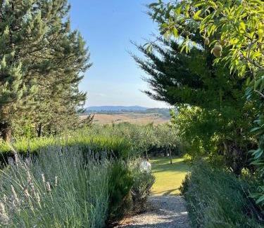 Siena House | Il Lavandeto - farmhouse in the city